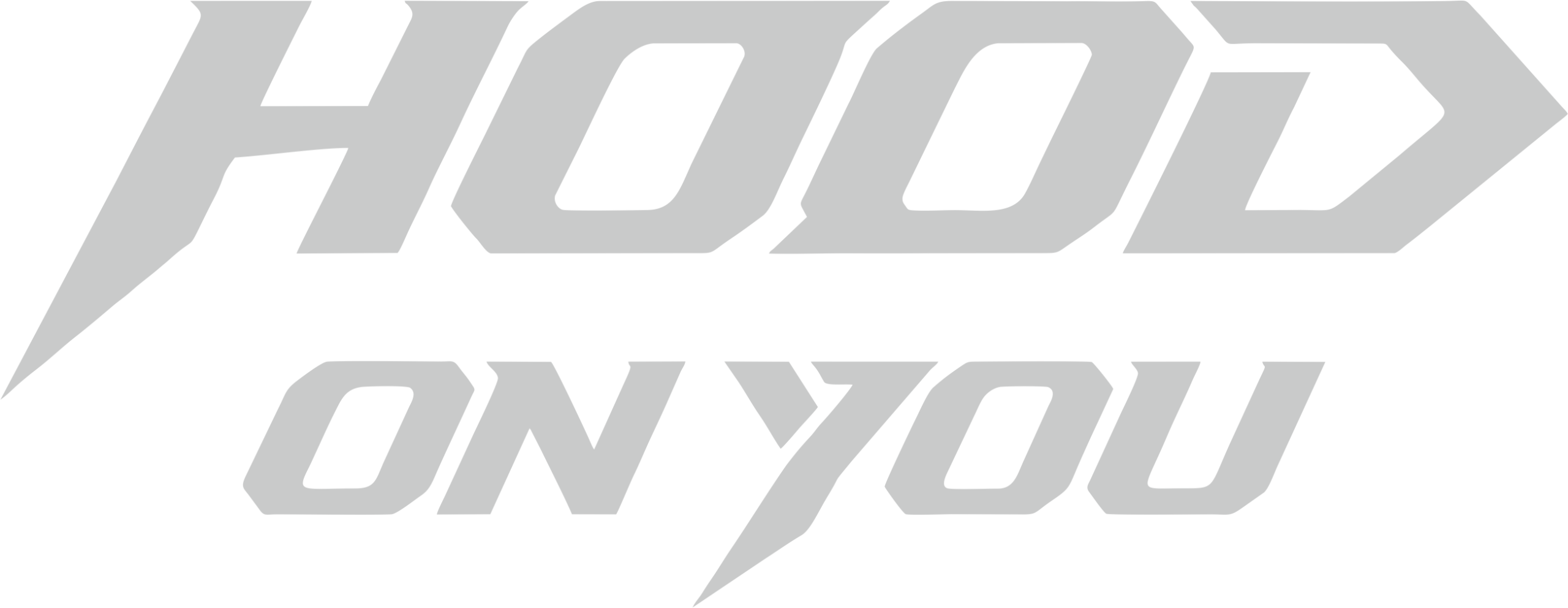 hoodonyou energy pouch logo silver
